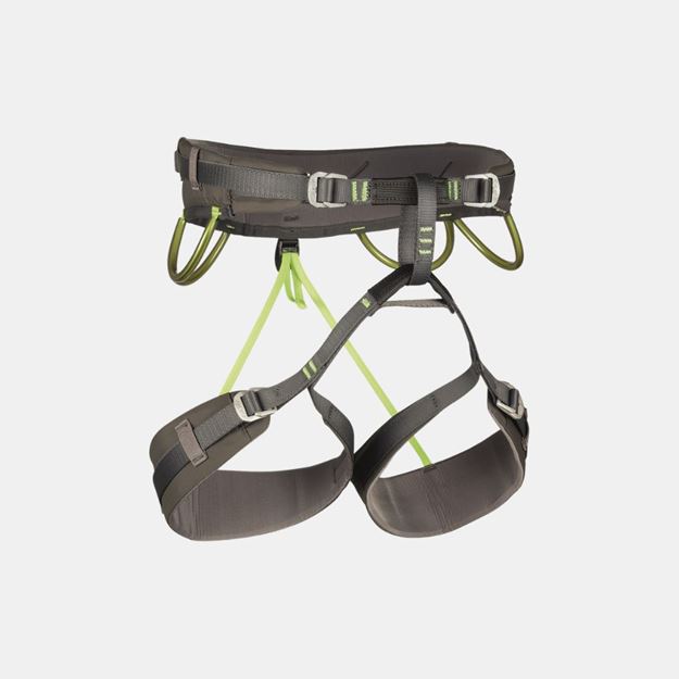 Picture of CAMP ENERGY HARNESS CR4